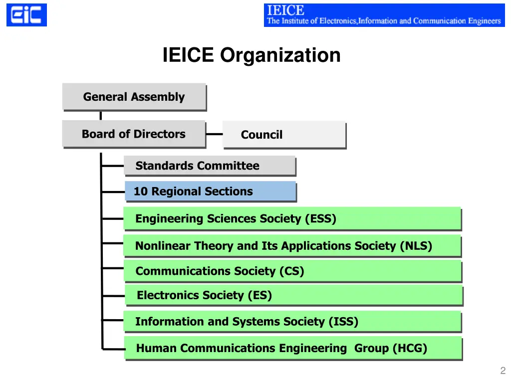 ieice organization