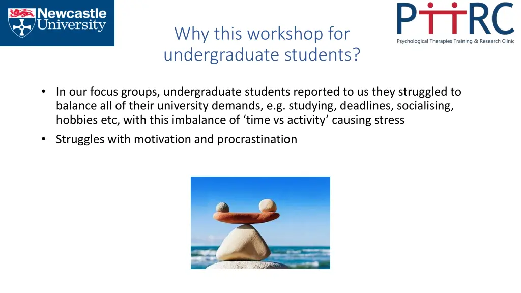 why this workshop for undergraduate students