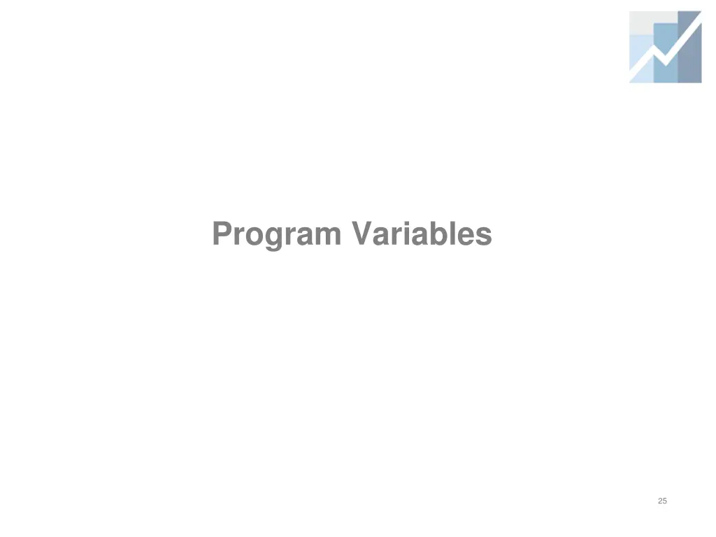 program variables