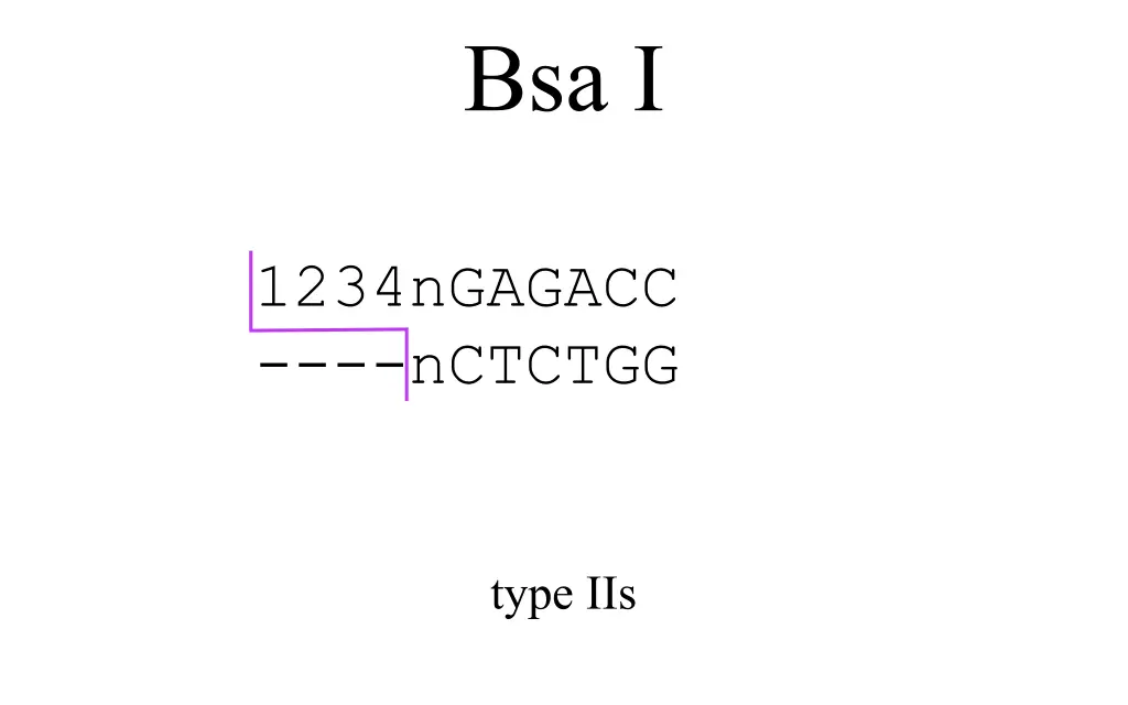 bsa i 1