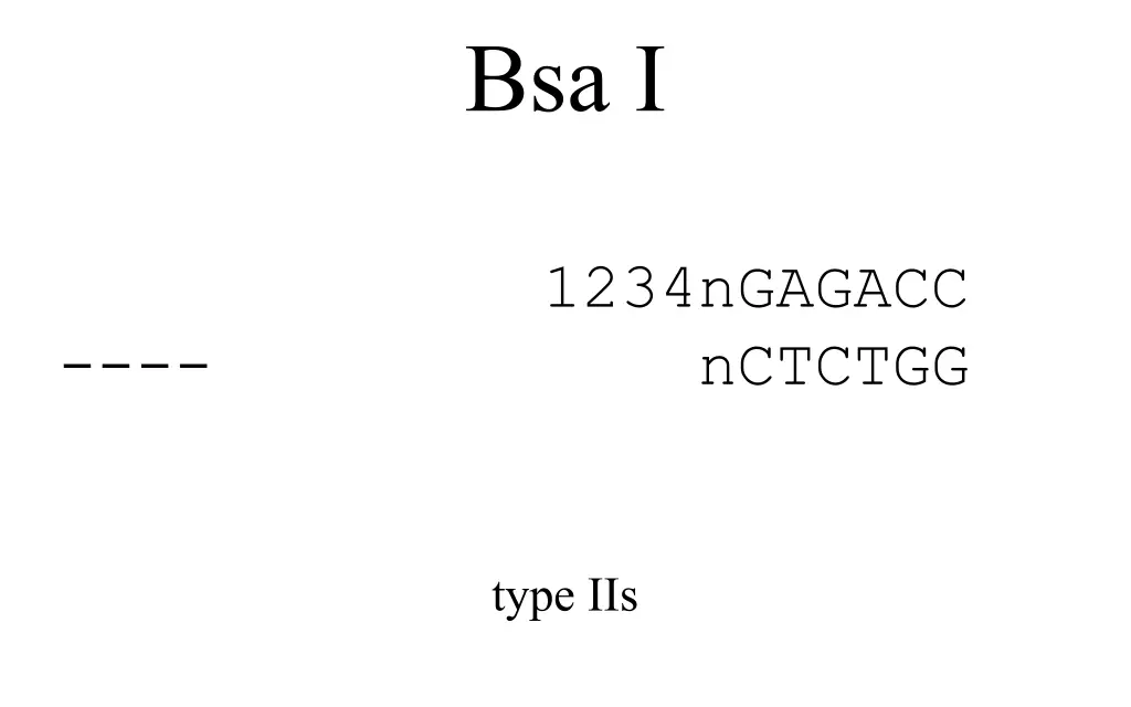 bsa i 2