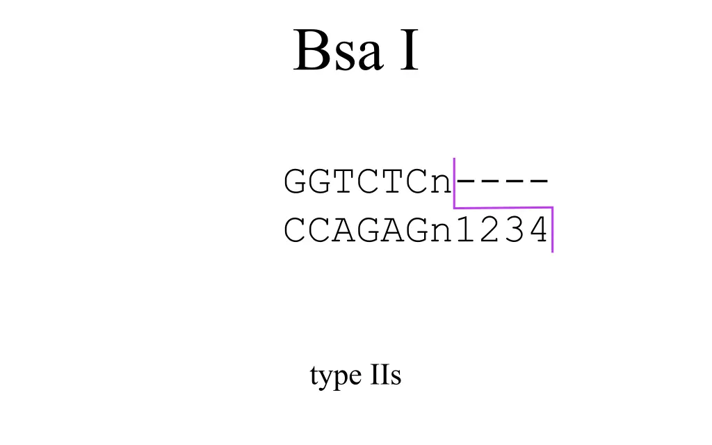 bsa i 3