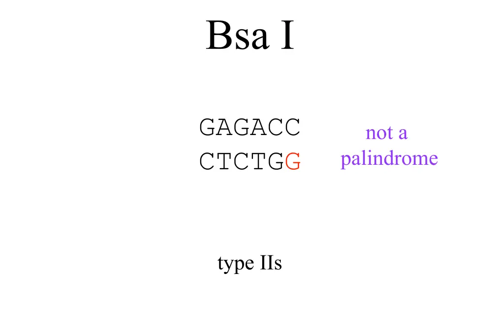 bsa i