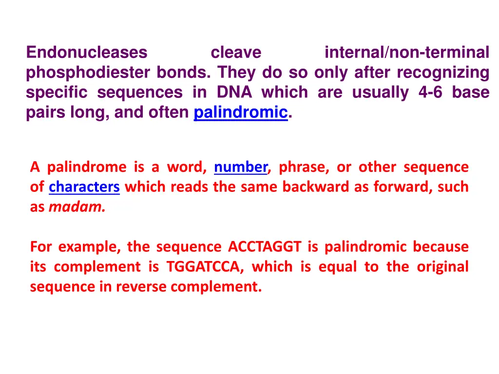 endonucleases phosphodiester bonds they