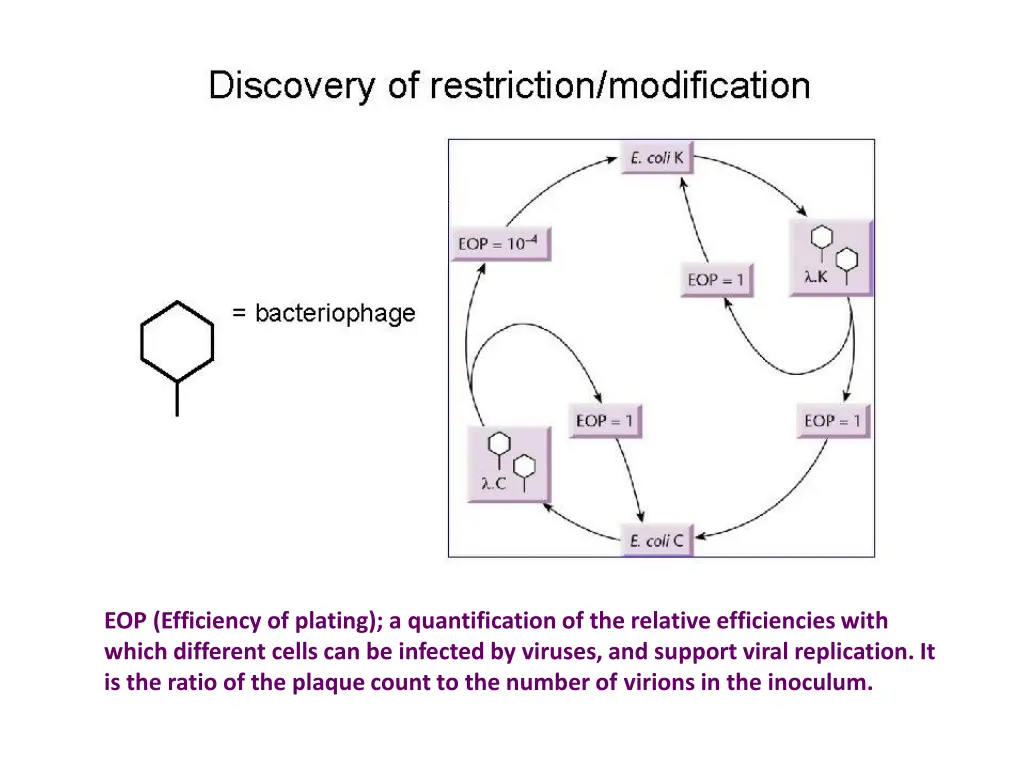 eop efficiency of plating a quantification