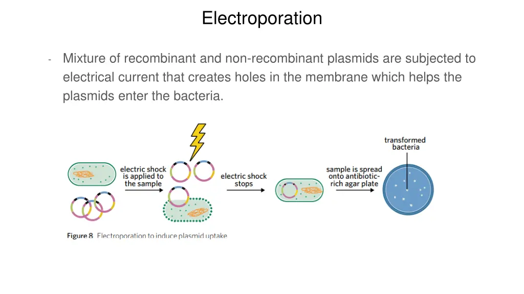 electroporation