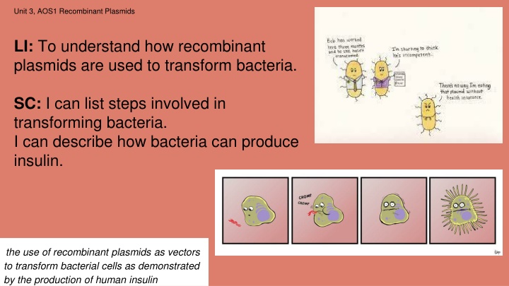 unit 3 aos1 recombinant plasmids