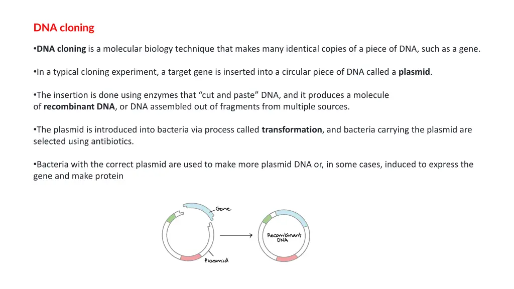 dna cloning