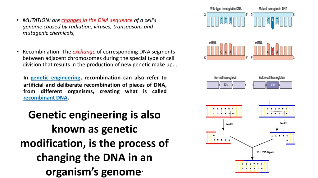 mutation are changes in the dna sequence