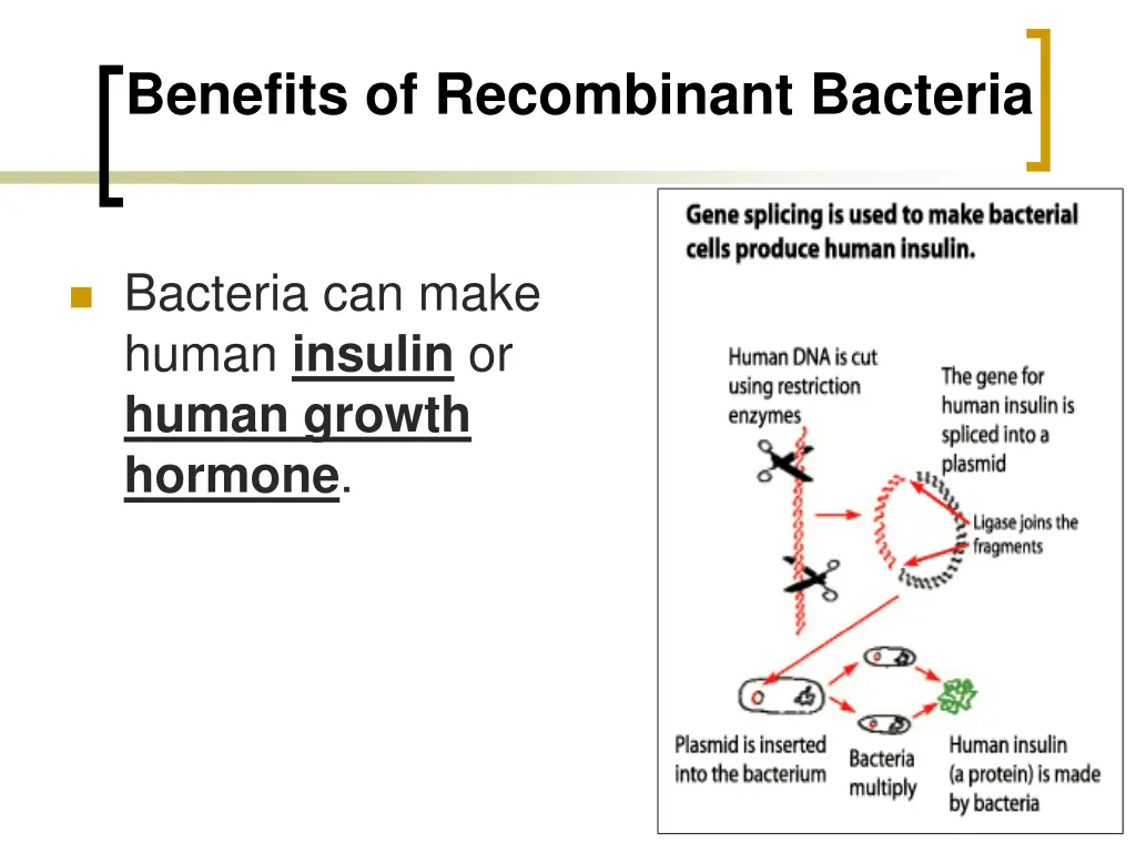 benefits of recombinant bacteria