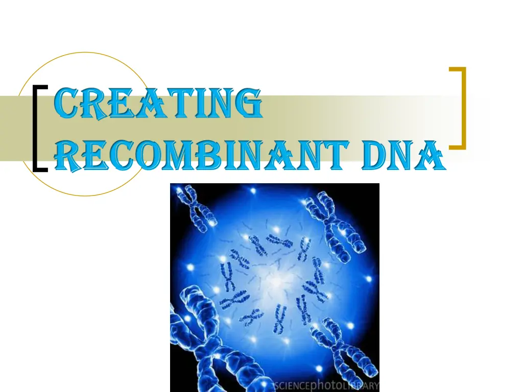 creating creating recombinant dna recombinant dna