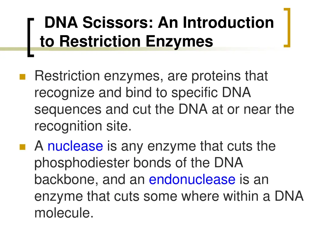 dna scissors an introduction to restriction