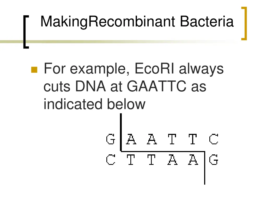 makingrecombinant bacteria