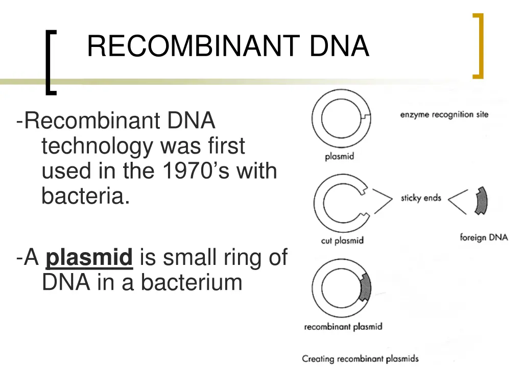 recombinant dna 1