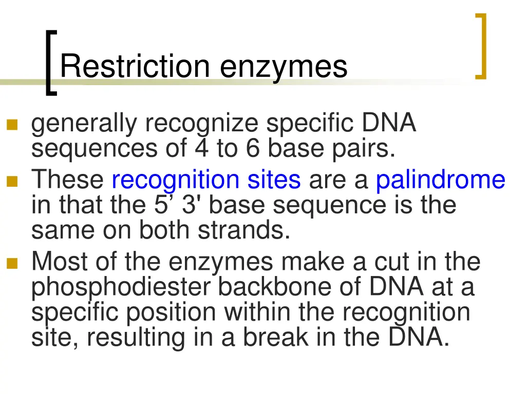 restriction enzymes 1