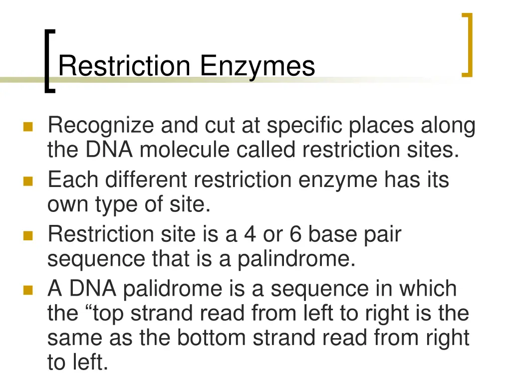 restriction enzymes 2