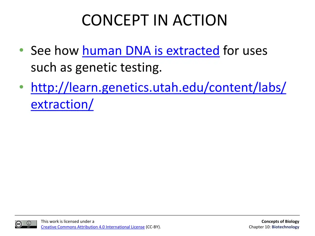 concept in action 1