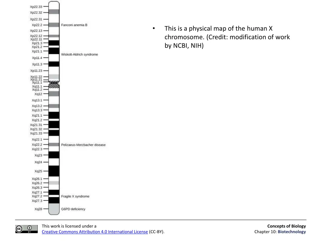 slide14