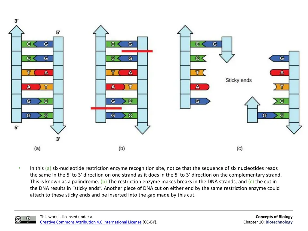 slide6