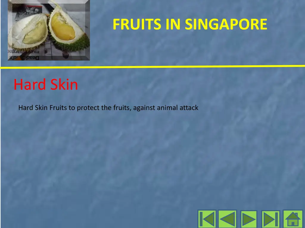 fruits in singapore 1