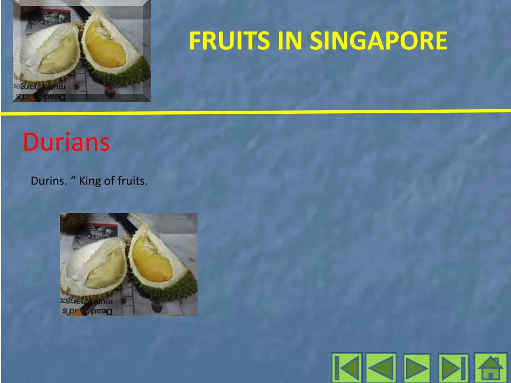 fruits in singapore 2