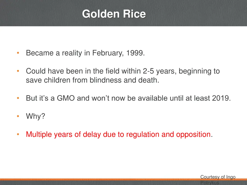 golden rice 1