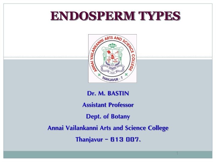 endosperm types