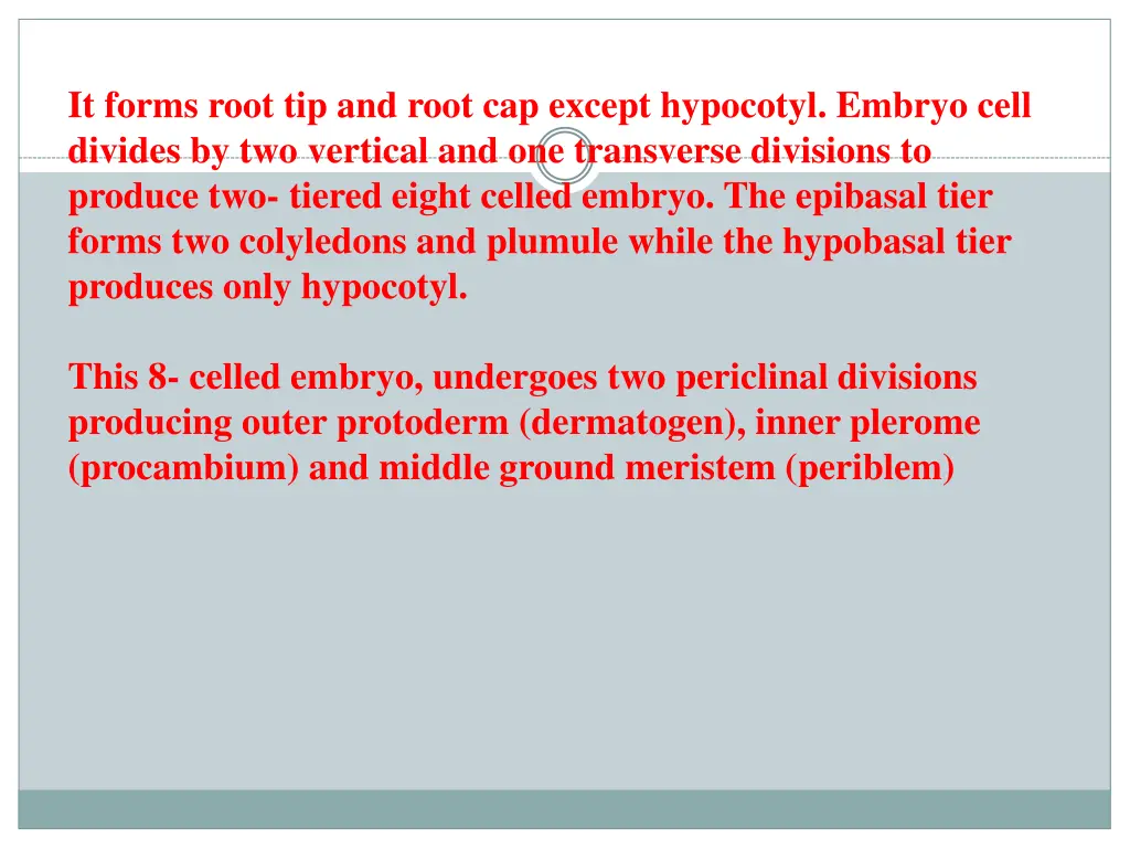 it forms root tip and root cap except hypocotyl