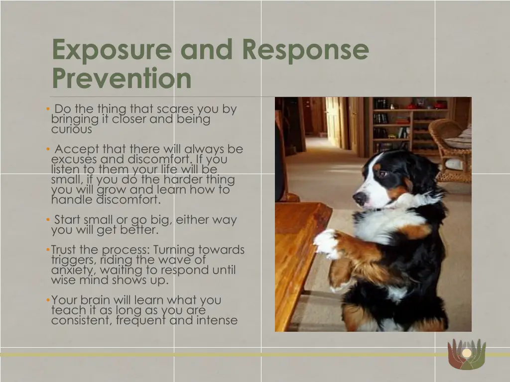 exposure and response prevention