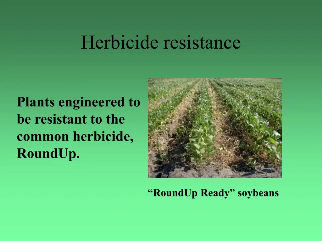 herbicide resistance