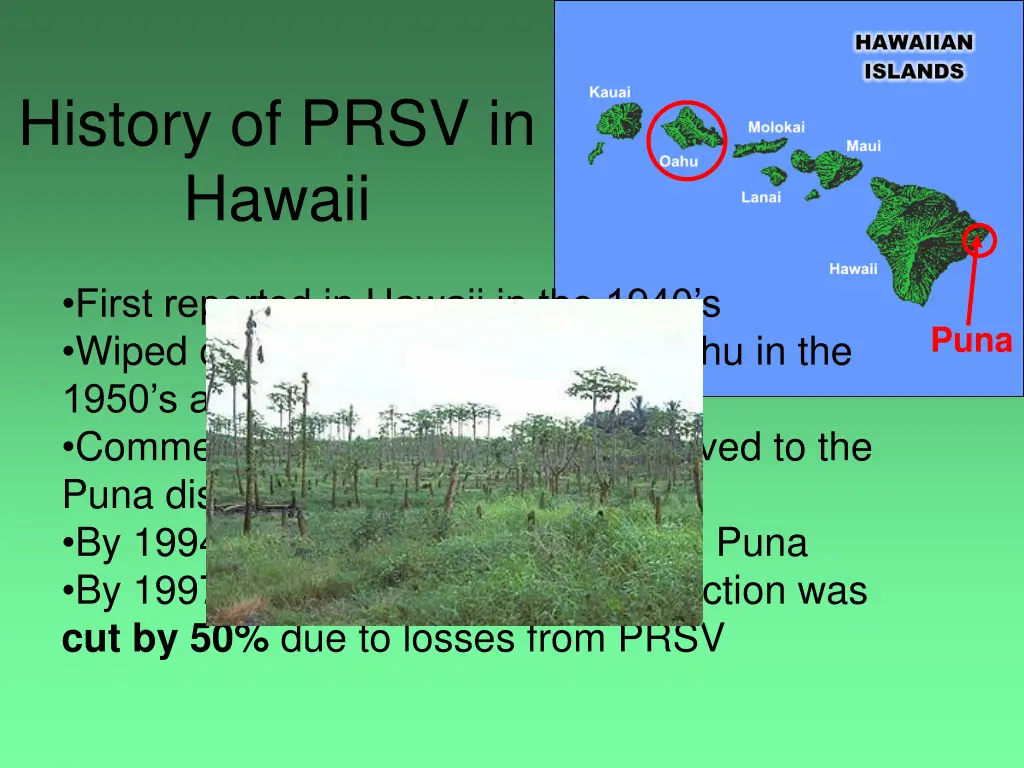 history of prsv in hawaii