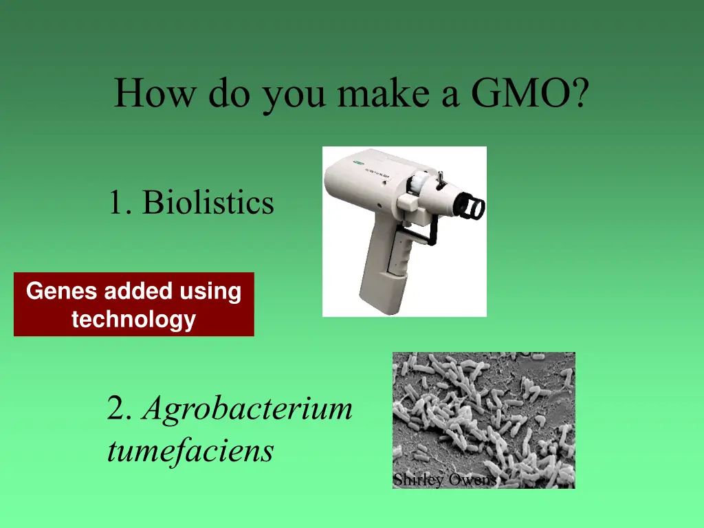 how do you make a gmo 1