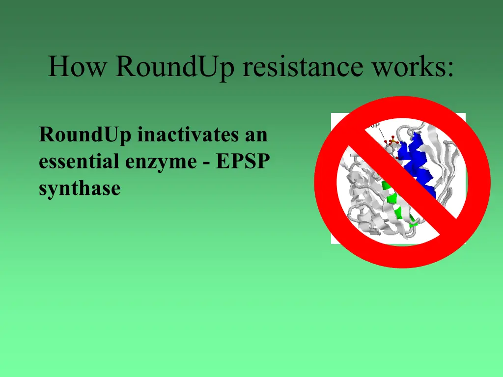 how roundup resistance works