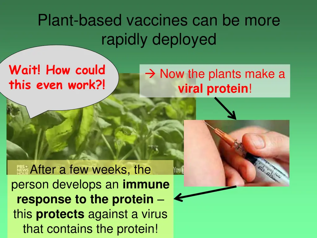 plant based vaccines can be more rapidly deployed 1