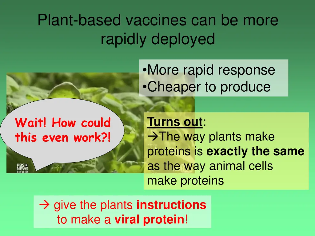 plant based vaccines can be more rapidly deployed