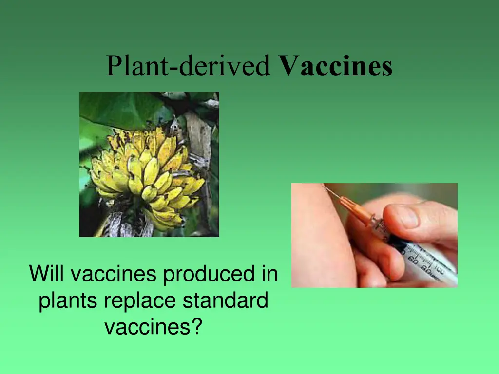 plant derived vaccines