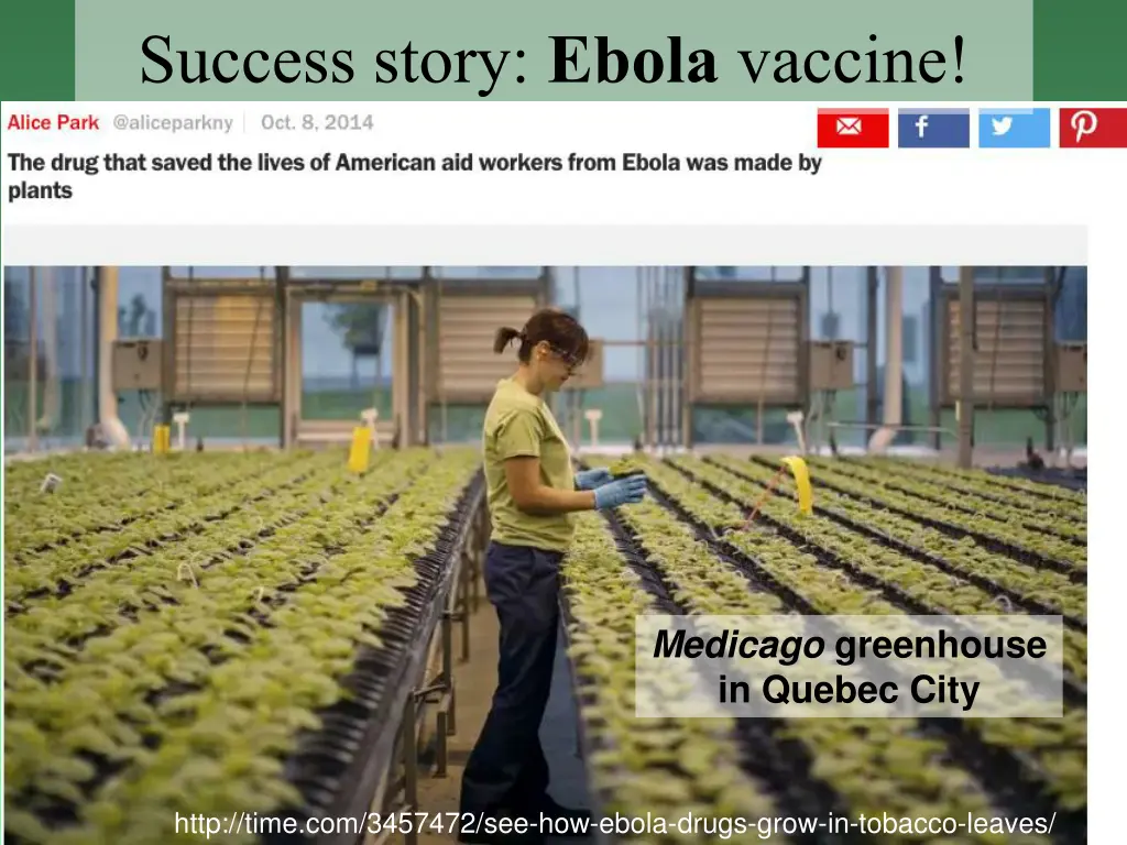 success story ebola vaccine