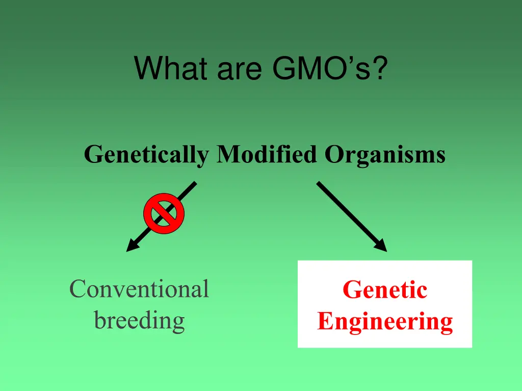 what are gmo s 1