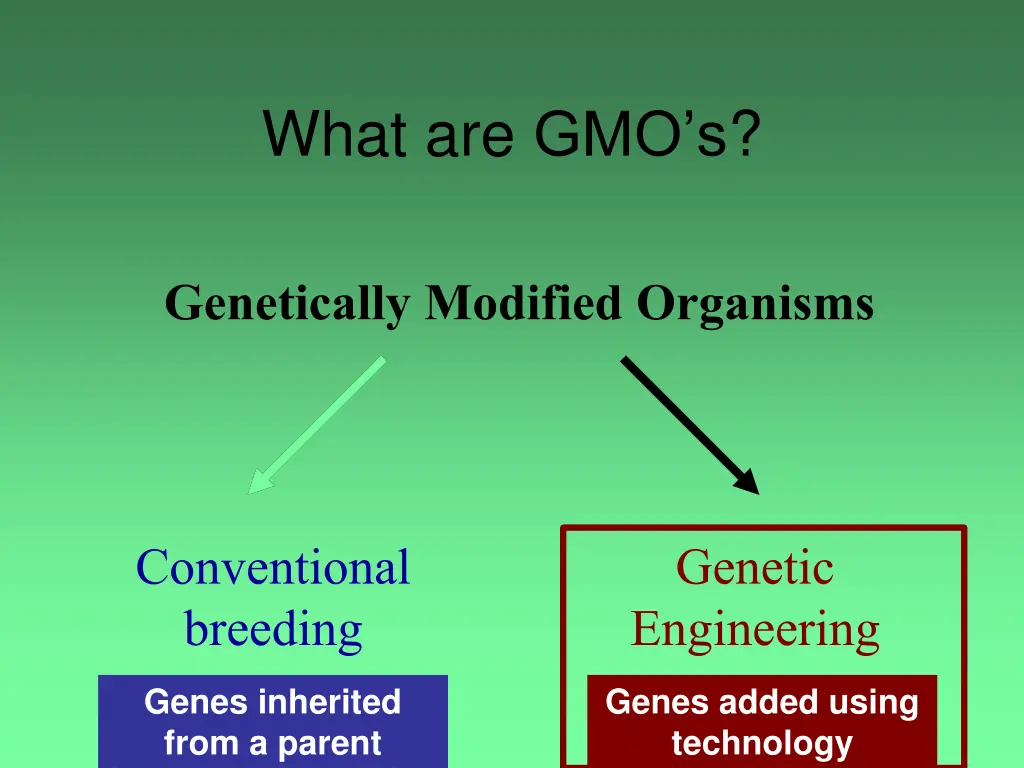 what are gmo s 2