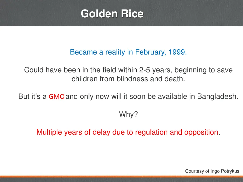 golden rice 1