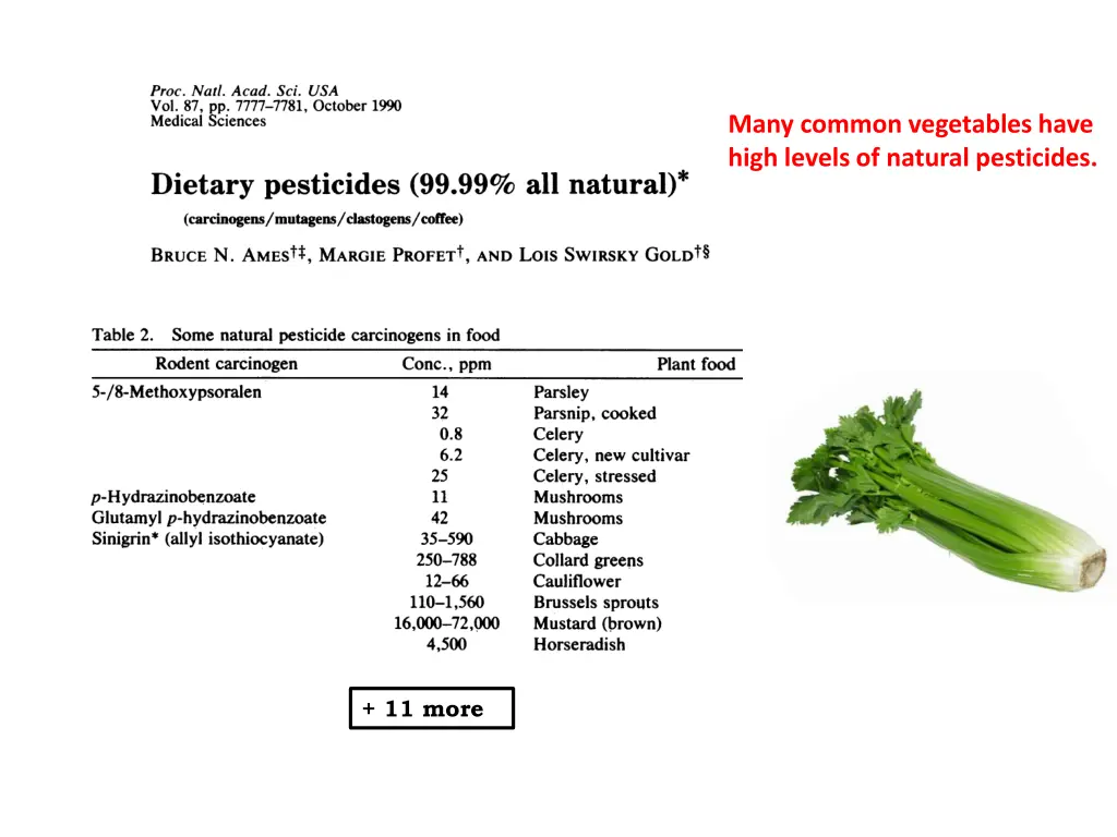 many common vegetables have high levels