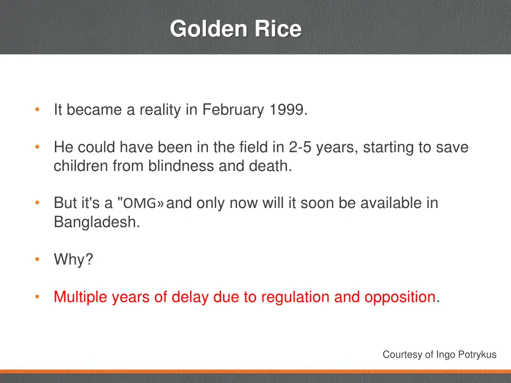 golden rice 1