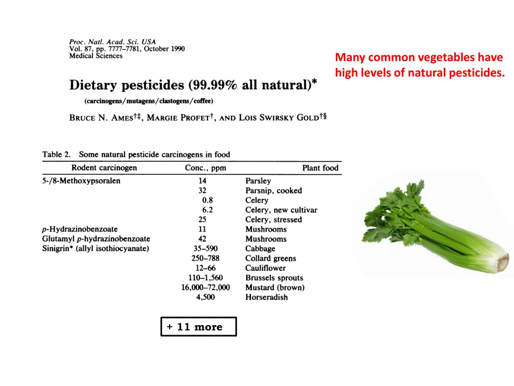 many common vegetables have high levels