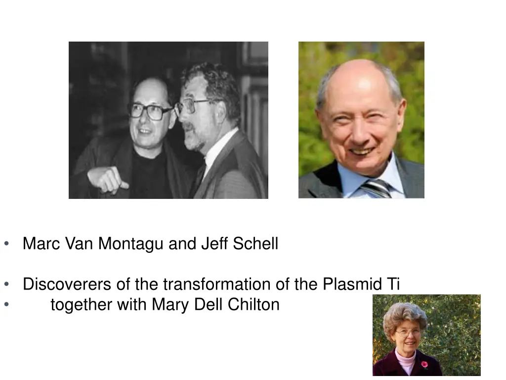 marc van montagu and jeff schell