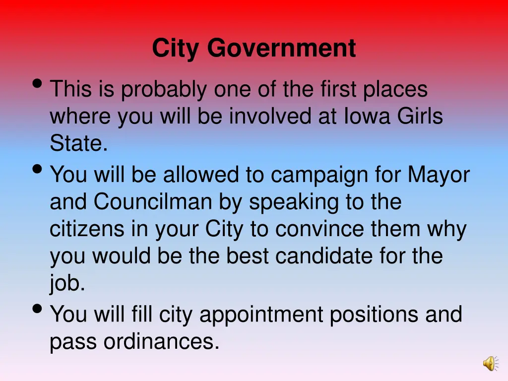 city government