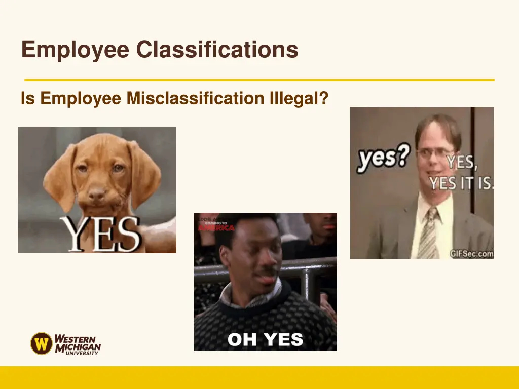 employee classifications 1