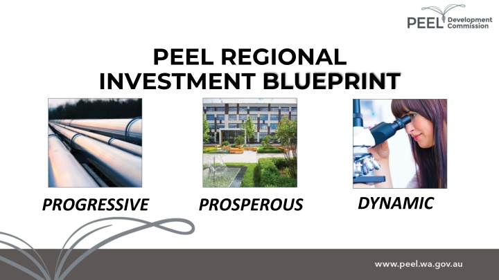 peel regional investment blueprint