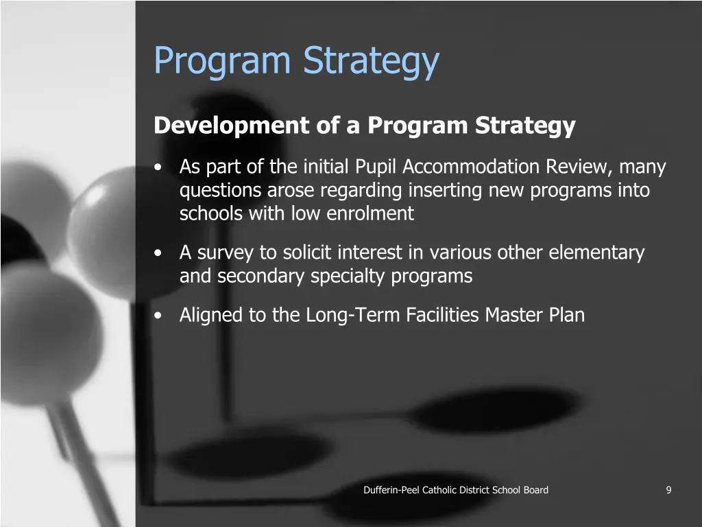 program strategy