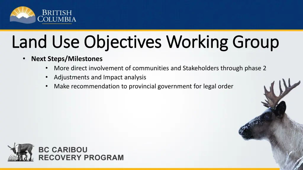 land use objectives working group land 1