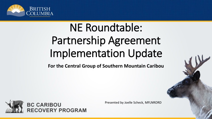 ne roundtable ne roundtable partnership agreement